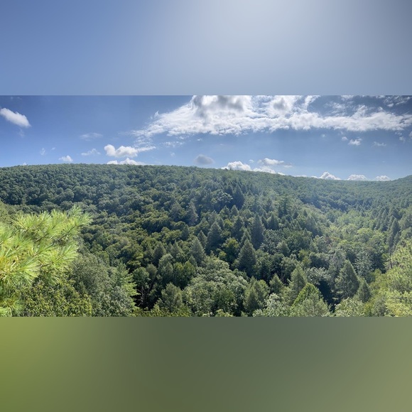 Meet your Posher, Chelsea - Picture 6 of 8